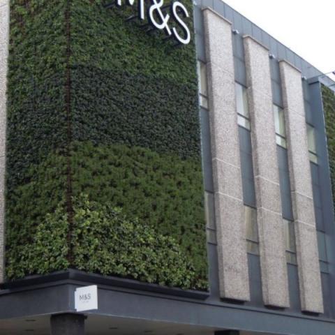 Green Living Wall of Marks & Spencer store | Urban Nature Atlas