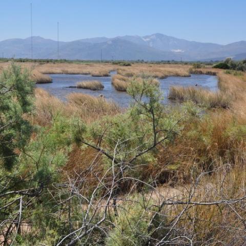 Wetland adaptation in Attica Region, Greece 