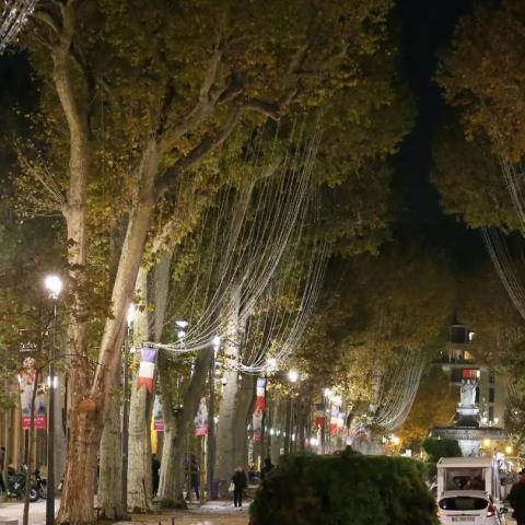 Green vault at Cours Mirabeau