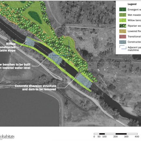 Sterling Pond Restoration Concept Section 3