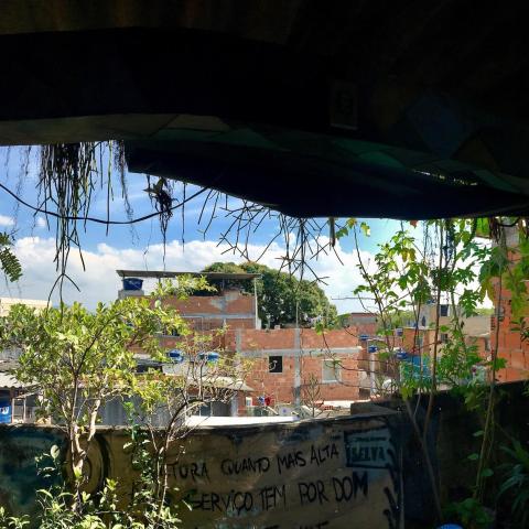 Favela Rooftops Green Roof Favela | Urban Nature Atlas