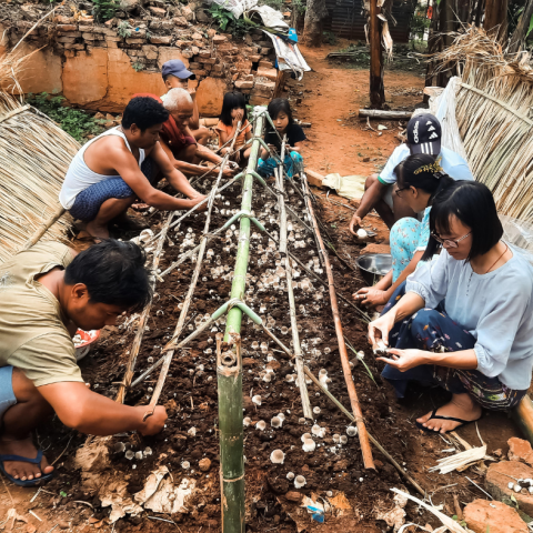 Project participants growing mushrooms in the community garden