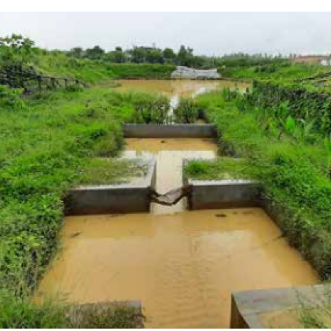 Restoring degraded land and riverine areas in Rohingya Camps