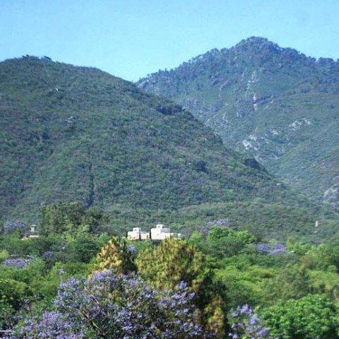 Margalla Hills National Park