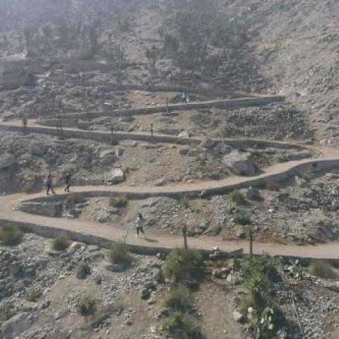 Hiking and biking trails in the park
