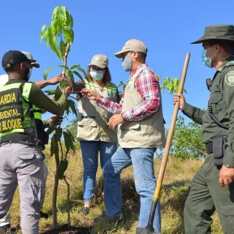 picture from a planting session in 2020