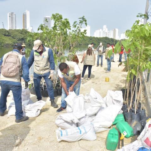planting session perfomed by EPA Cartagena