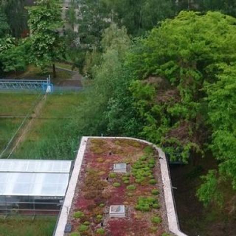 View on the water treatment plant and the greenhouse
