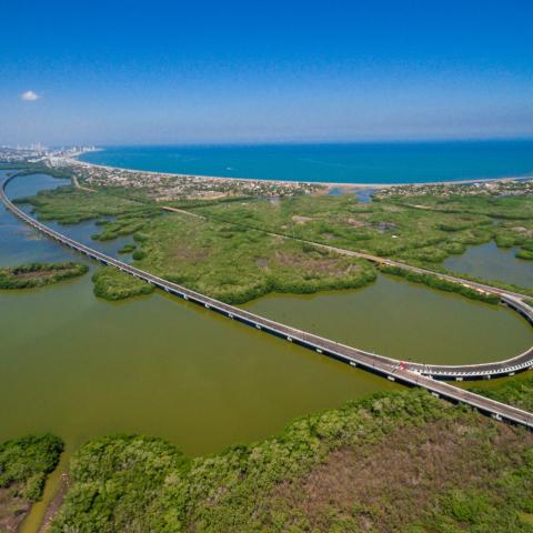picture of the road next to the cienaga