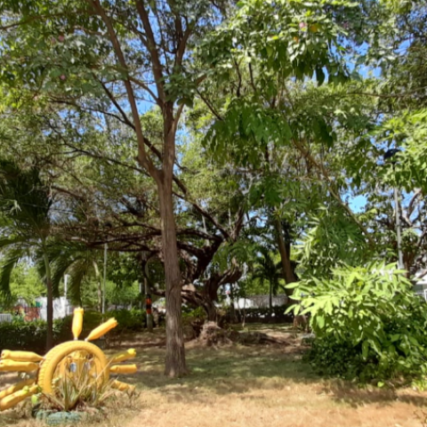 picture of the park