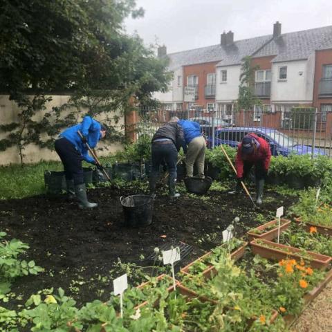 The GLAS garden in Ballymun 