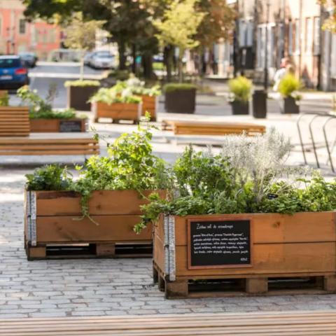 Urban farm on Grobla IV street