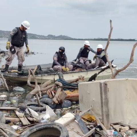 cleaning and land recovery activities