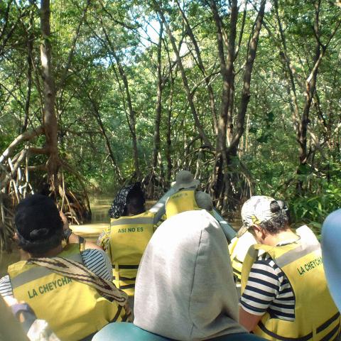 visit to a mangrove in Cartagena's bay