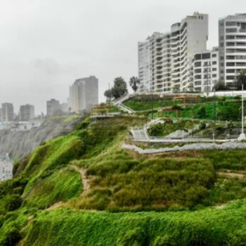 Picture of the Park