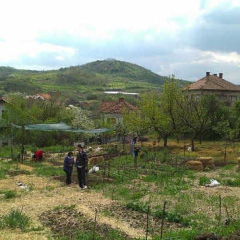 Garden View with Plots