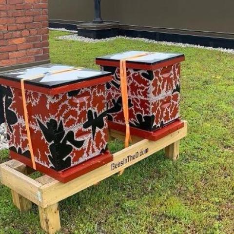 2 beehives as part of the green roof design of the Belt Line Center.