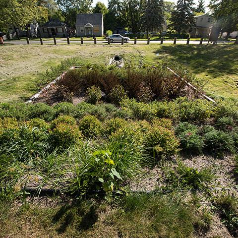 Bioretention flower garden at a previously vacant land