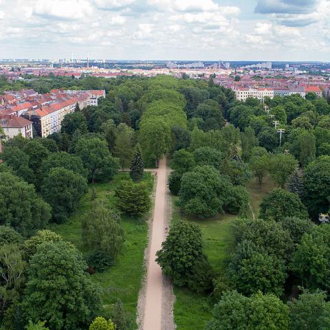 Bird perspective on the park