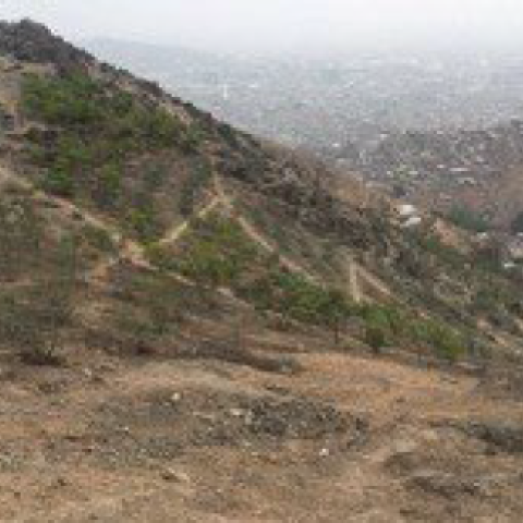 View of a terrain in the Lomas, to be reforested as part of the Green Belt of Independencia Project