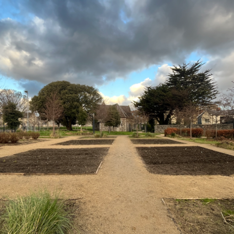 The outlook of the Grangegorman Community Garden