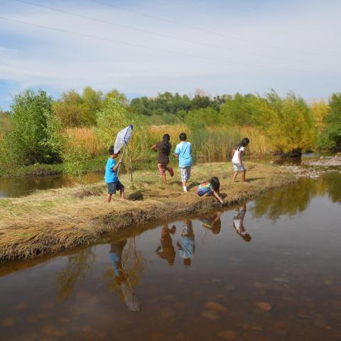 Kids playing in the marshlands at the The Rio Salado Habitat Restoration Area