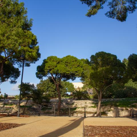 Image of the requalified area thanks to the implementation of the project.