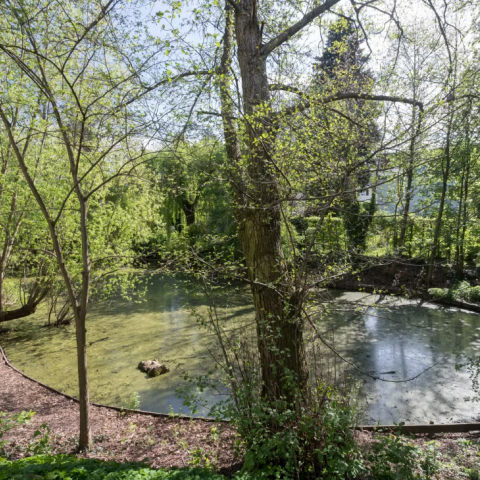 The Lankengrabenteich, one of the first piloting locations