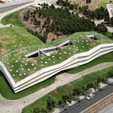 Green Roof of the Meama Coffee Factory 