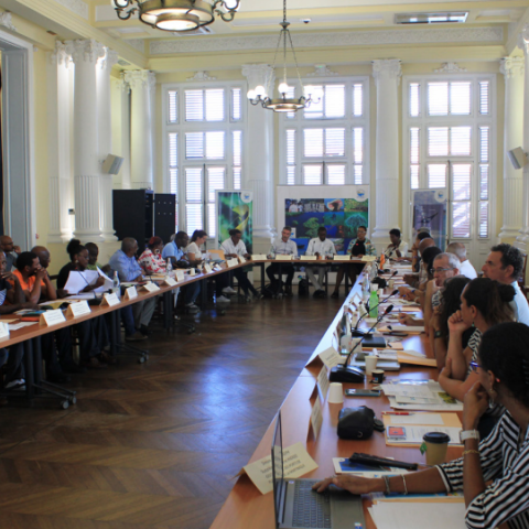 Meeting of the board/platform