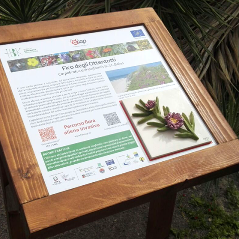 One of the 13 panels in the Botanic Garden of Cagliari