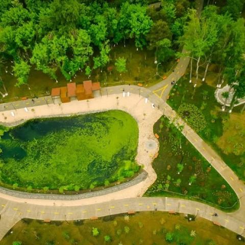 Top view of a section of the Mziuri Park