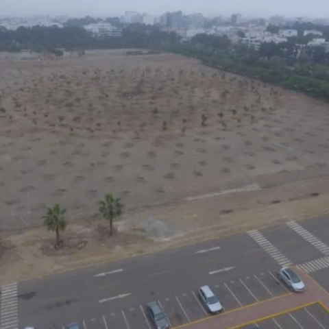 Top view of the beginning of the implementation of the urban forest project on the grounds of the Army Headquarters.
