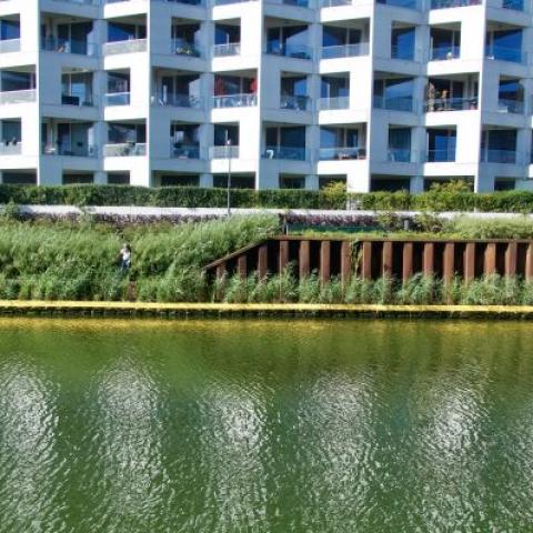View on the riverside and vertical wetland