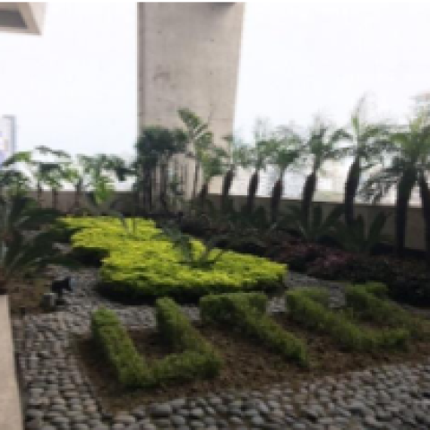Green roof with palms