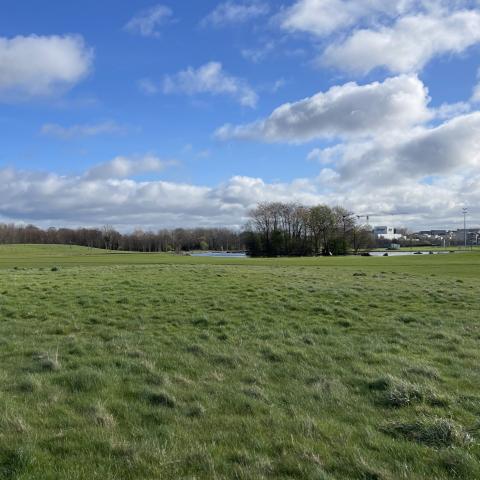 Dublin’s Darndale Park with an open meadow and a fishing pond
