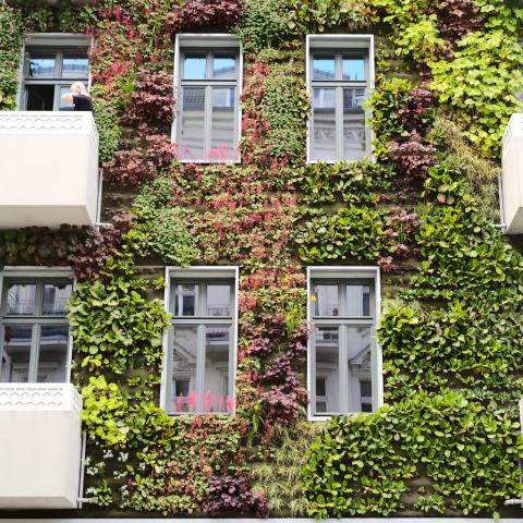 Green facade with balconies
