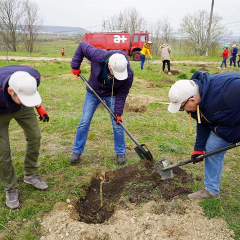 Volunteers preparing terrain for planting 