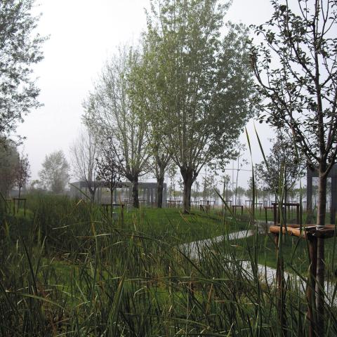 Tree-planted walking route at the Thessaloniki New Waterfront