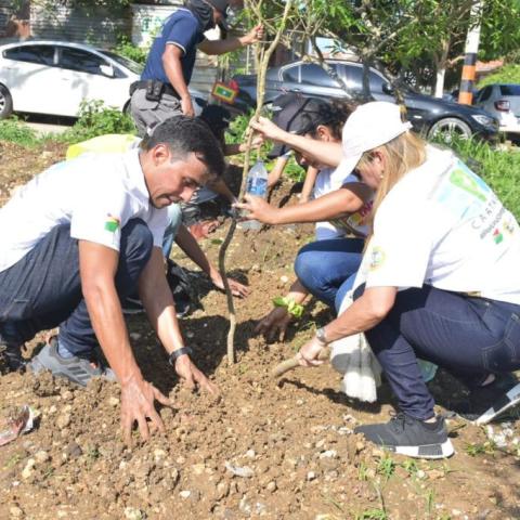 planting activity