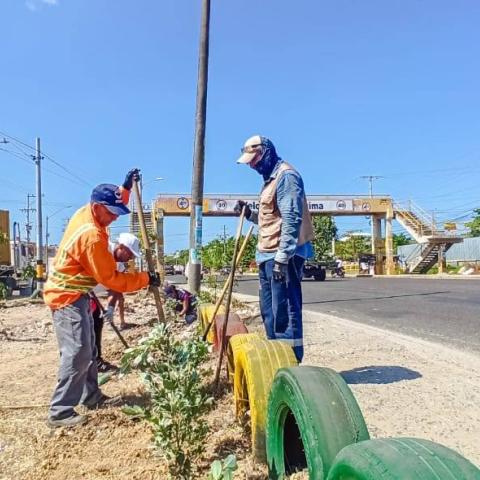 planting activities
