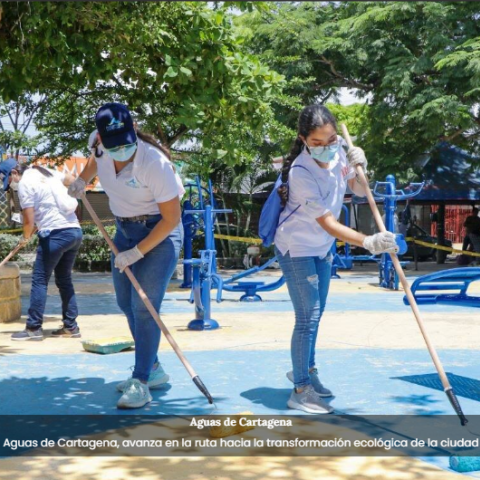 maintenance activities in the park