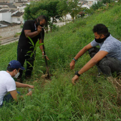 planting session