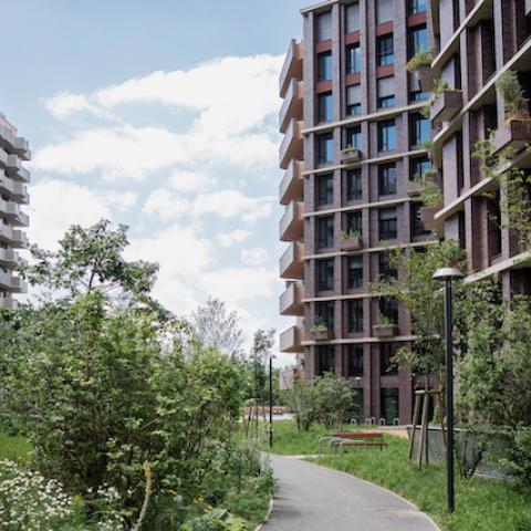 Green spaces between the buildings