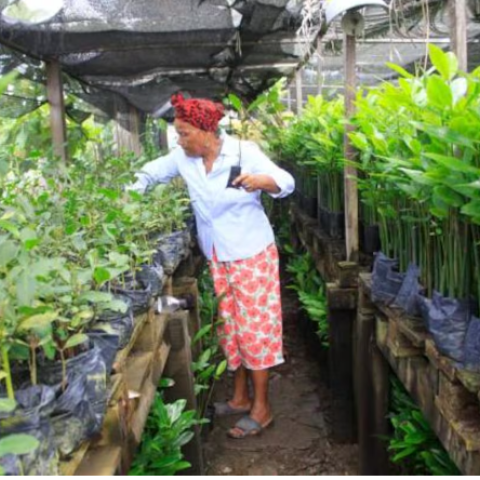 Gloria Sanchez in the nursery