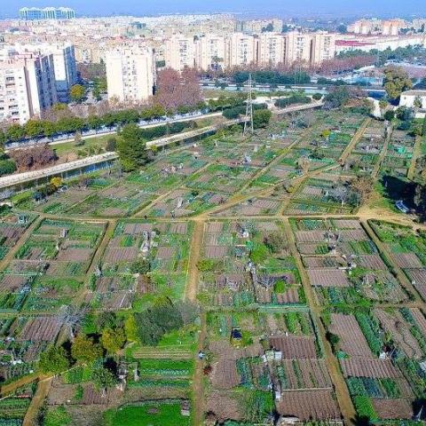 The mosaic of the urban gardens photographed from the air, with high rise buildings in the background