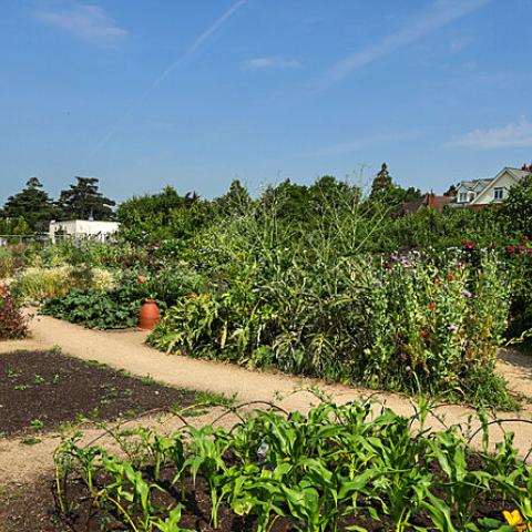 Sustainable Community Garden from Toast.org