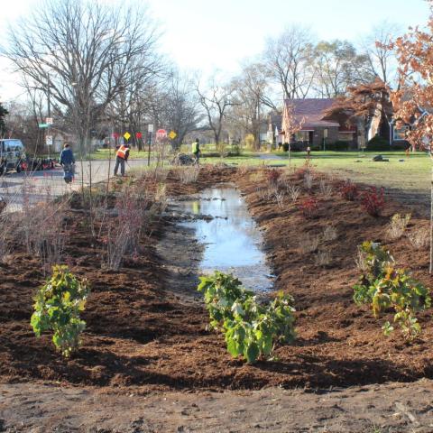 Bioswale at Stein park