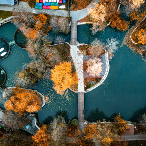The renovated and cleaned Boating Lake