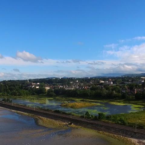 Booterstown Marsh